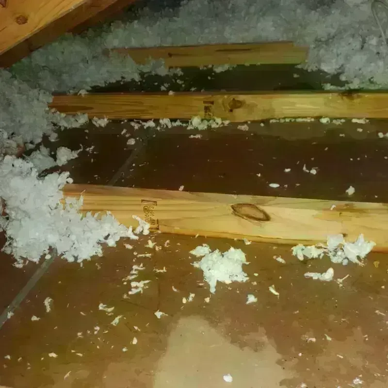 Attic Water Damage in Olivet, MI