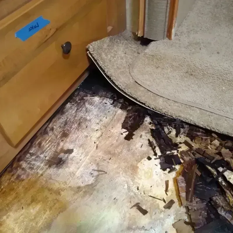 Best Wood Floor Water Damage Service in Olivet, MI